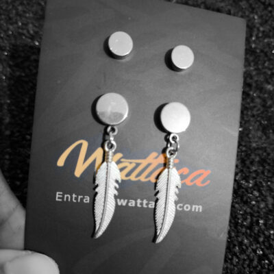 Set de 2 Pares de Aretes Imantado Alas Acero